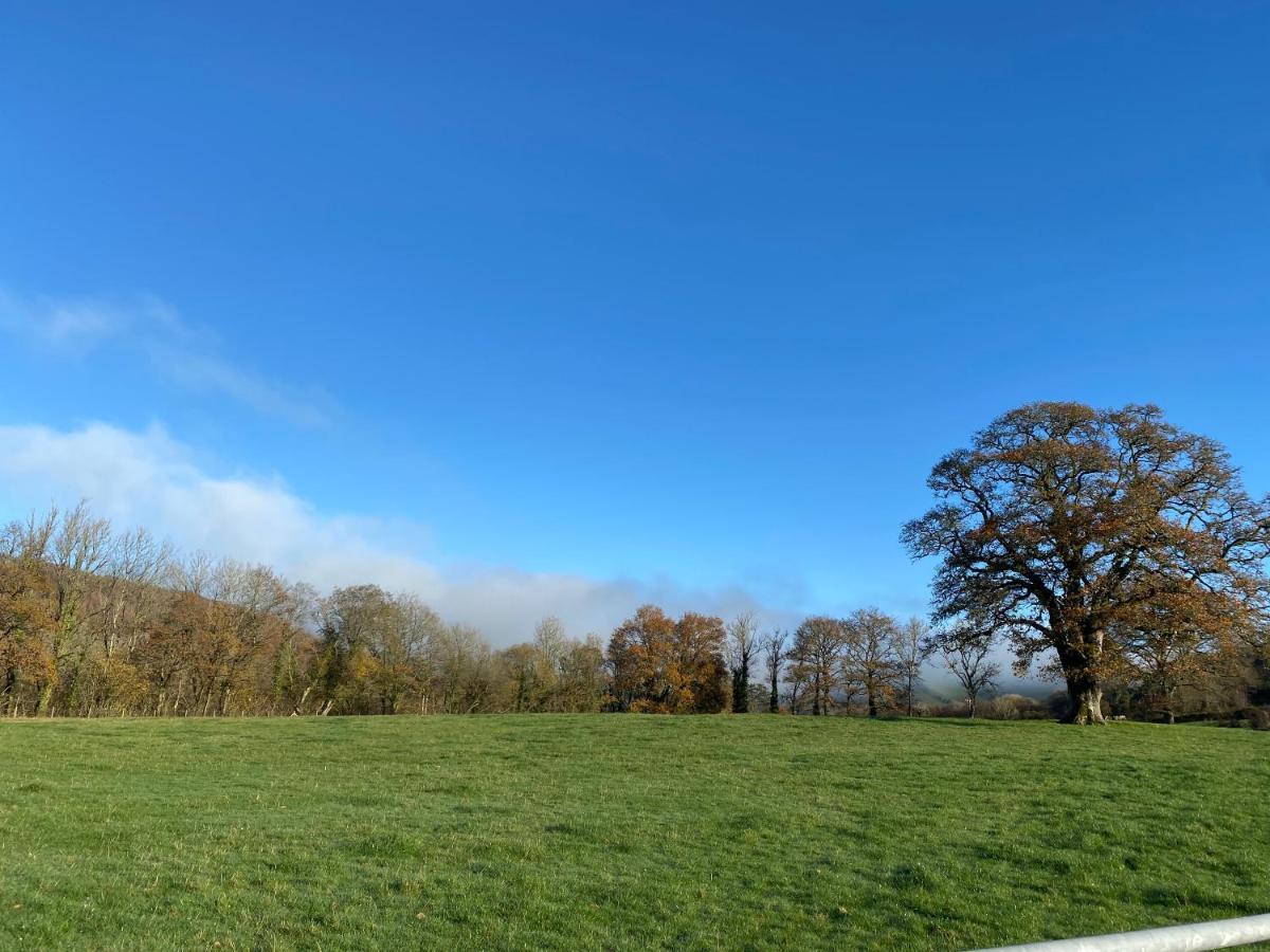 Oakies Farm Stays ランダバリー エクステリア 写真