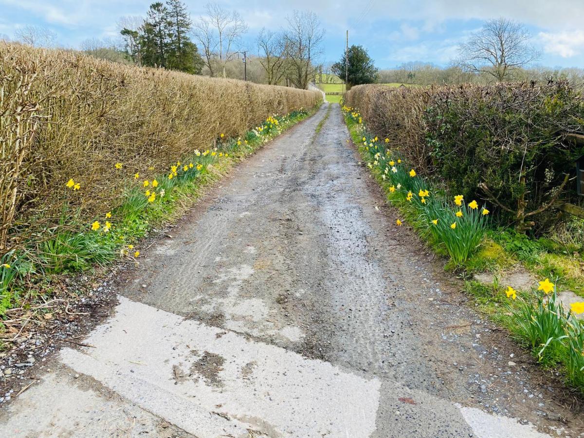 Oakies Farm Stays ランダバリー エクステリア 写真